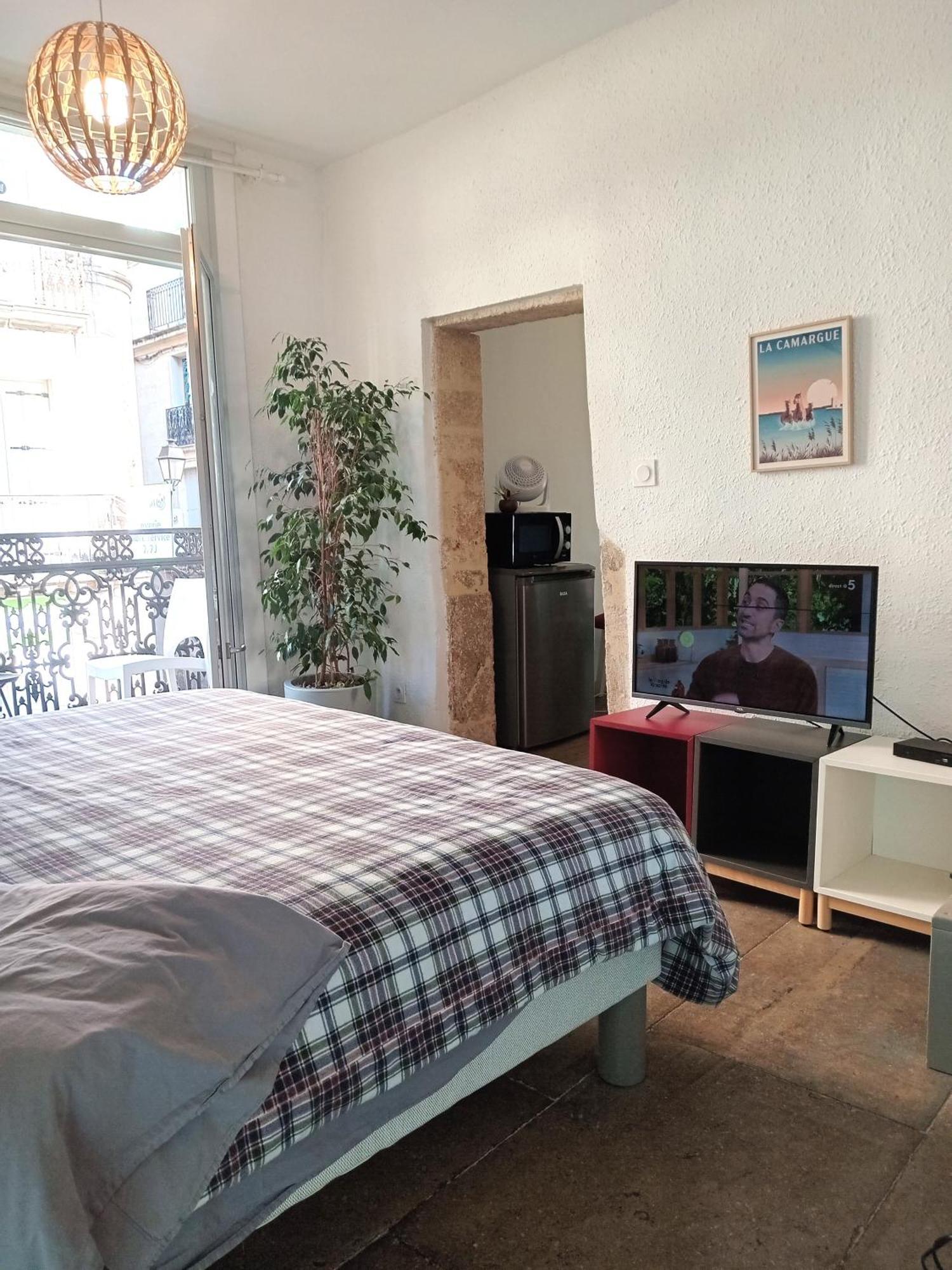 Le Balcon De Saint Roch Apartment Montpellier